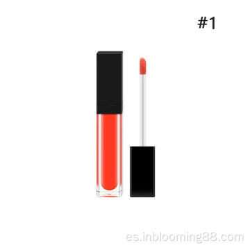 Pigmento personalizado Etiqueta privada Lip Gloss